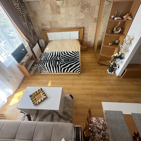 Cozy In Sanny Апартаменты