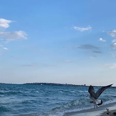 Cozy In Sanny Апартамент *